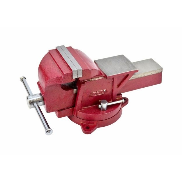 AWTOOLS AW24229 bench vices