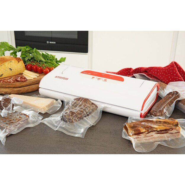 STATUS HOME 280 vakumatorius 8