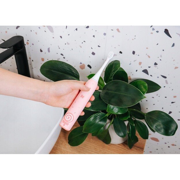 El. dantų &scaron;epetėlis ZK6010 CONCEPT 4