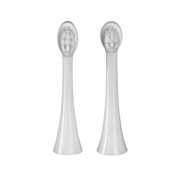 El. dantų &scaron;epetėlis ZK6010 CONCEPT 6