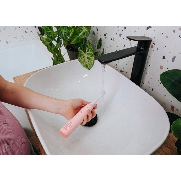 El. dantų &scaron;epetėlis ZK6010 CONCEPT 2