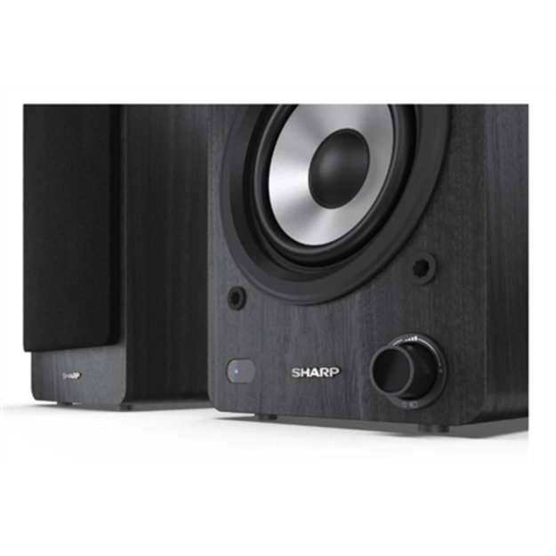 Sharp CP-SS30 Bookshelf Speakers 3