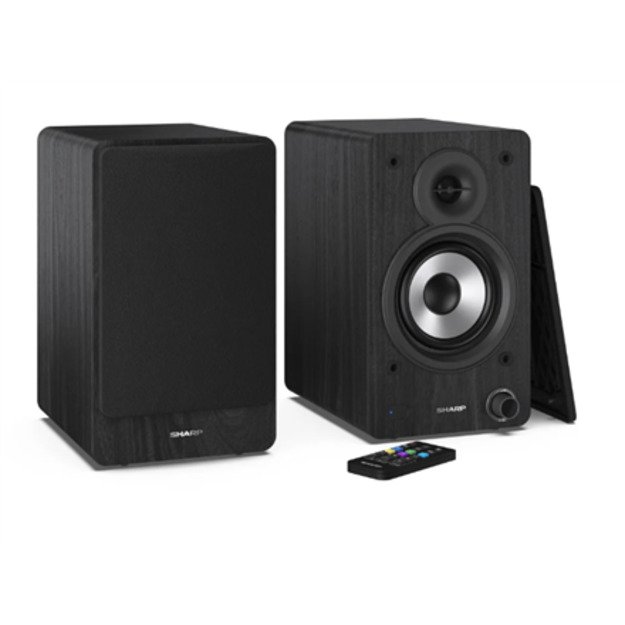 Sharp CP-SS30 Bookshelf Speakers 5
