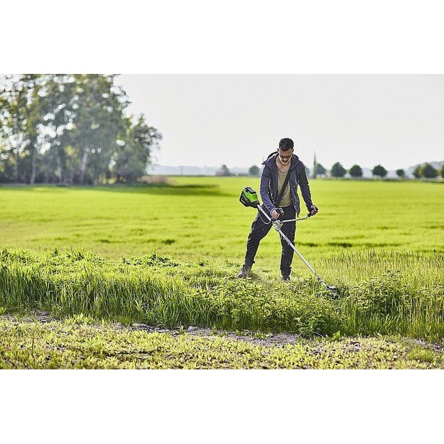 Trimmer/scythe with bike handle 60V Greenworks GD60BCB - 2108407 2