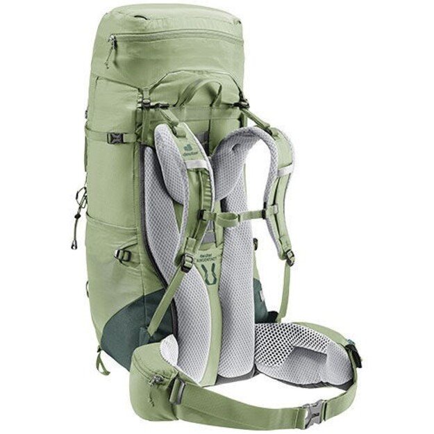 Kuprinė Deuter Aircontact Lite 45 + 10 SL grove-ivy 1
