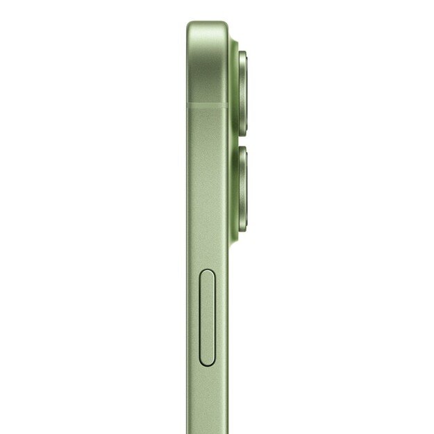 Apple iPhone 17 16 cm (6.3 ) Dual SIM iOS 26 5G USB Type-C 256 GB Sage