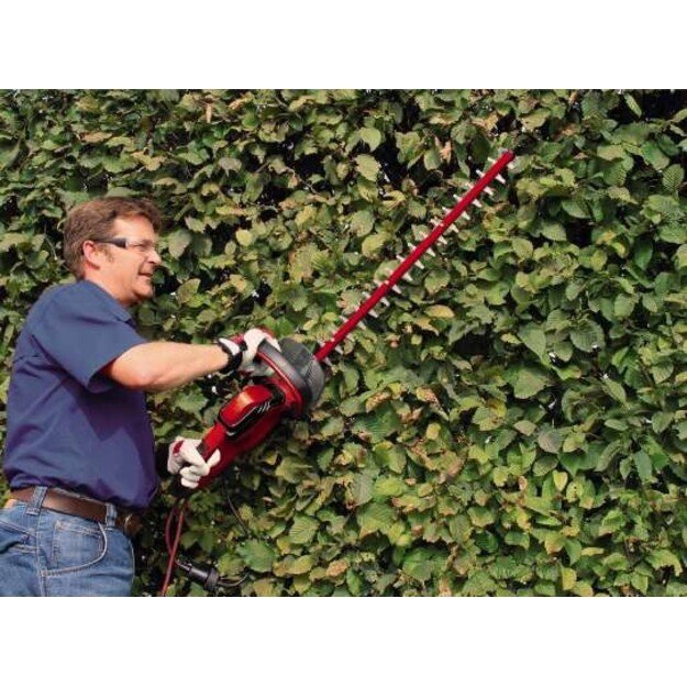 Einhell GC-EH 6055/1 Single blade 600 W 3.47 kg