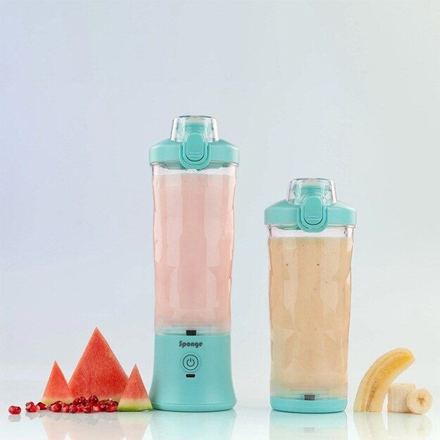 Blender Sponge Mint