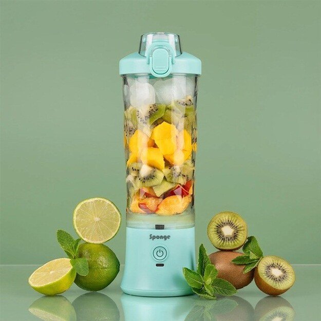 Blender Sponge Mint
