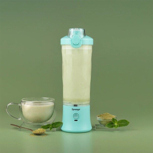 Blender Sponge Mint