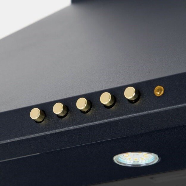 Akpo WK-4 Classic Wall-mounted GOLD 60 BLACK 2