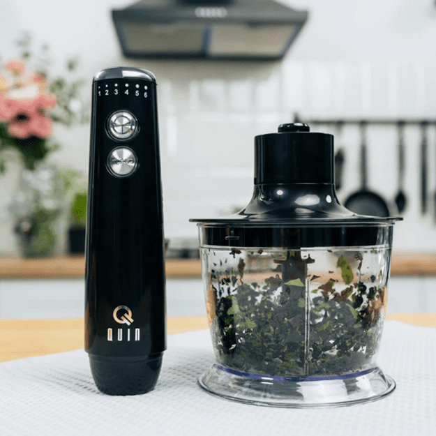 QUIN Immersion Blender HB-103