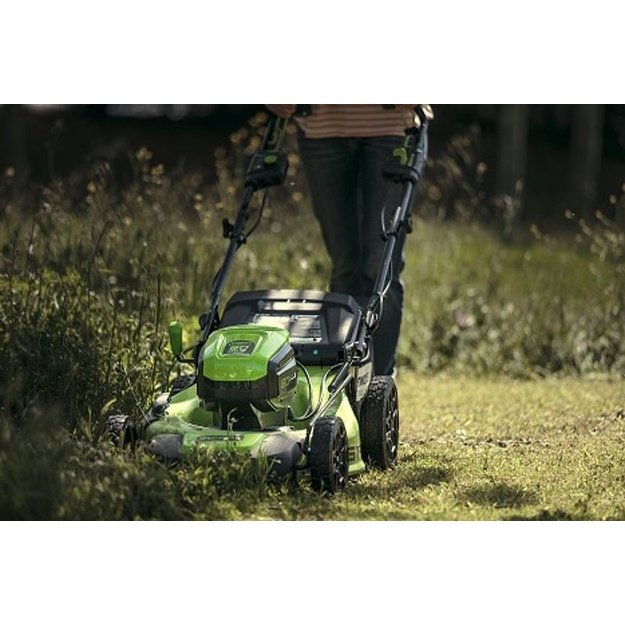 GREENWORKS vejapjov