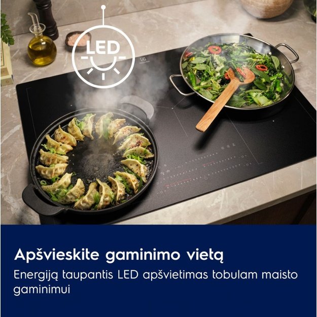 Gartraukis ELECTROLUX LFP226S