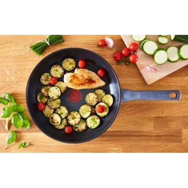 Tefal Daily Cook G7132S55 set of 2 frying pans 24/28 cm