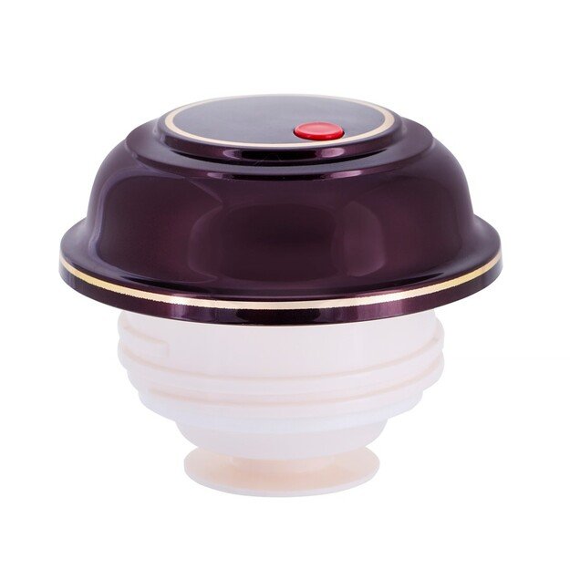 ROTPUNKT 330-16-04-0 vacuum flask 1 L Cherry 3