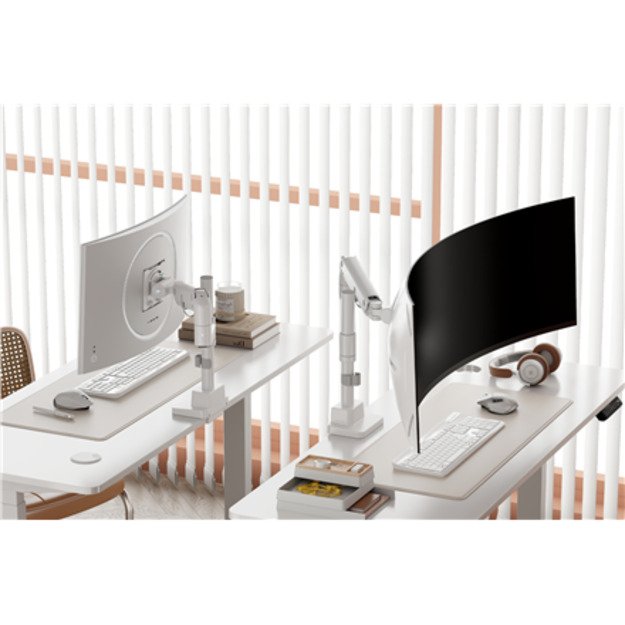 Digitus Desk Mount | DA-90476 Single Monitor Mount | Height 2