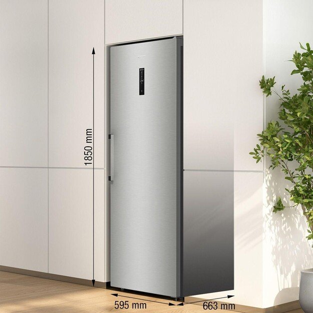 GORENJE FN619EAXL6 3