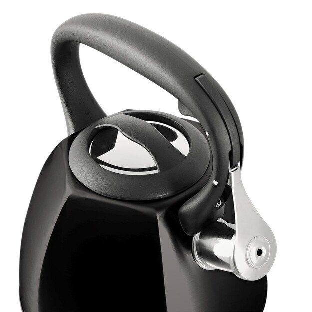 PROMIS TMC18C Kettle 2.6 l, VITO, black, black handle 1