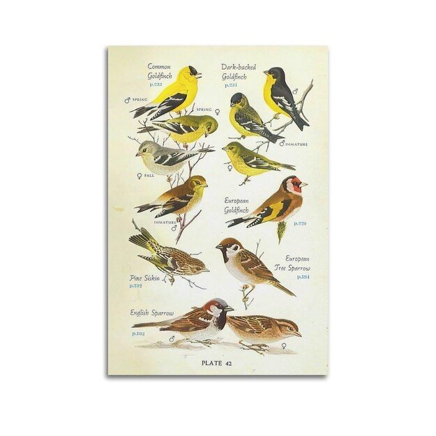 Samsung Galaxy A36 5G Smartphone 256GB lime