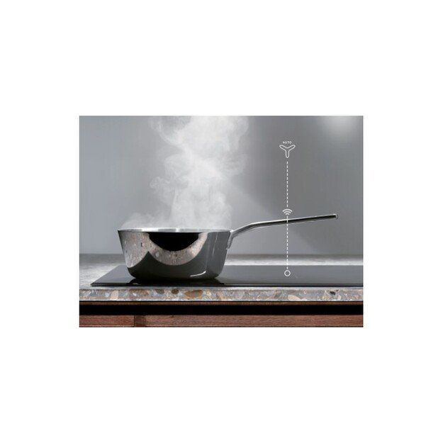 Įmontuojamas gartraukis Electrolux EFG516X 3