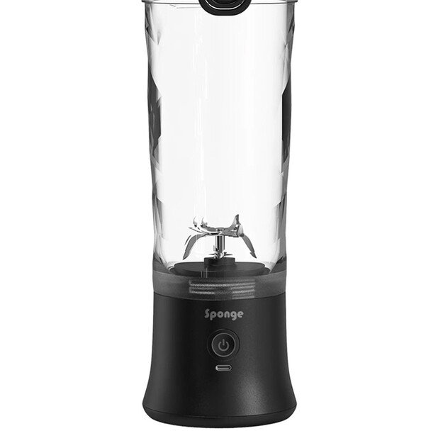 Blender Sponge black 6