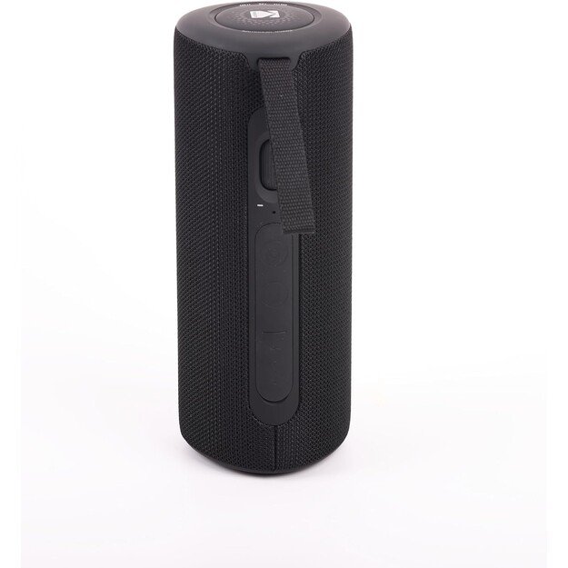 Kodak PWS-2246 Portable Wireless Speaker