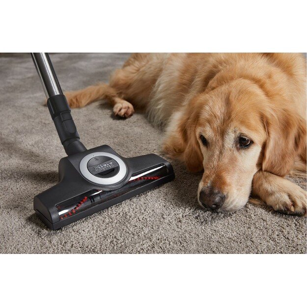 Complete C3 Cat and  Dog Flex Red Mango Bag Vacuum Cleaner