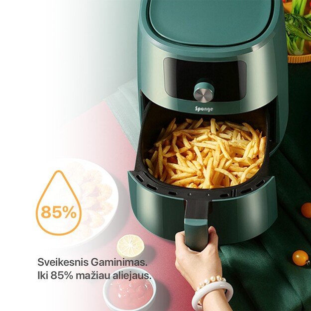 Sponge Air Fryer 6L