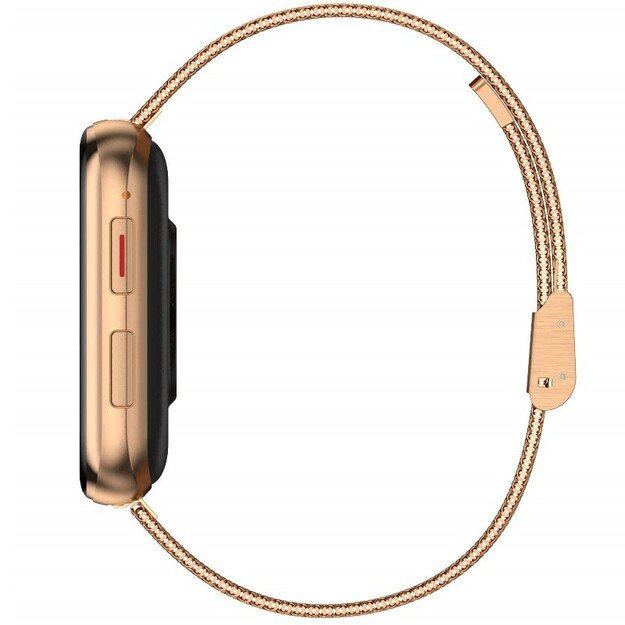 I&scaron;manusis laikrodis su lietuvi&scaron;ku meniu Garett GRC MAXX Gold steel 4