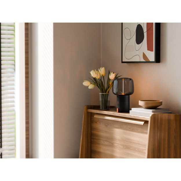 SOUND BY JBL Serena Play kolonėlė/&scaron;viestuvas su JBL garso sistema, Metalic Anthracite