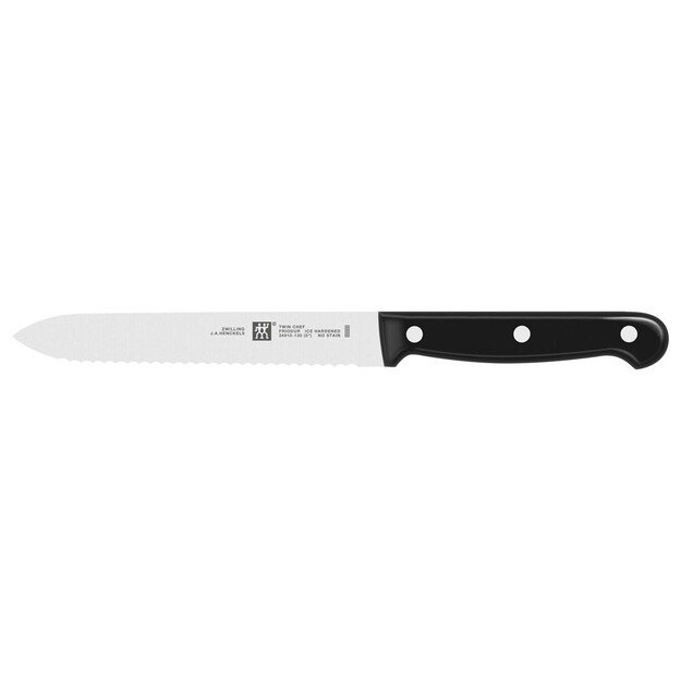 Set of 5 knives in block Zwilling Twin Chef