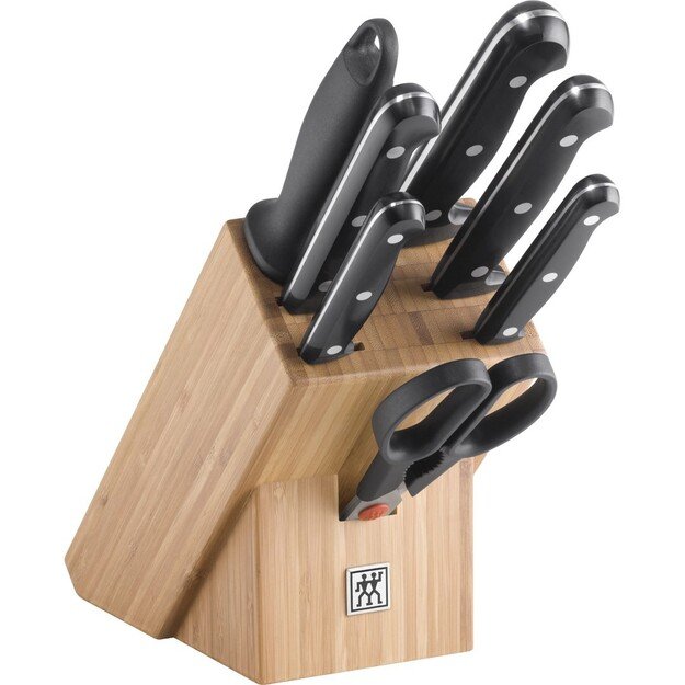 Set of 5 knives in block Zwilling Twin Chef