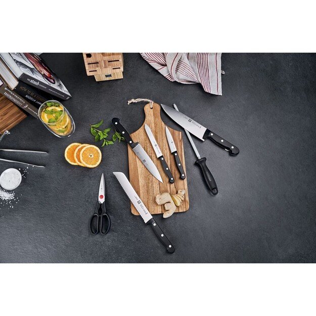 Set of 5 knives in block Zwilling Twin Chef