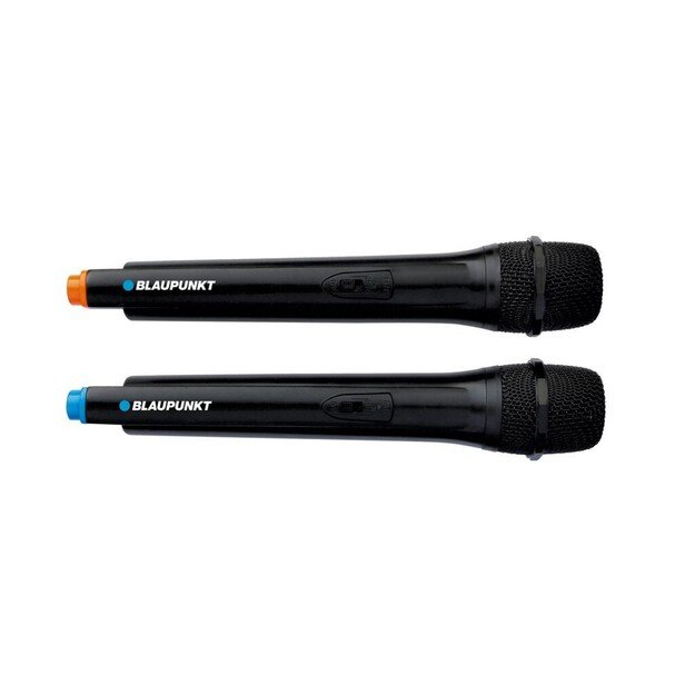 BLAUPUNKT PB12DB
