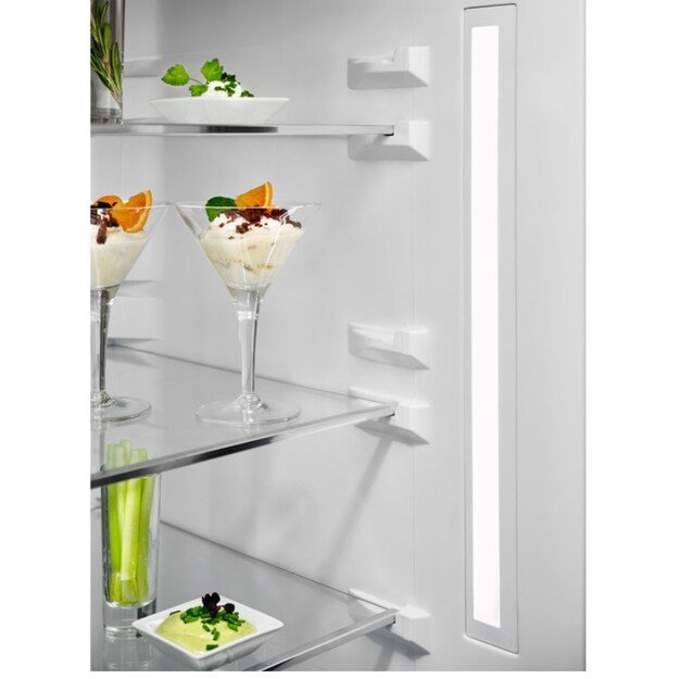 Chłodziarko-zamrażarka ELECTROLUX LNT7ME36G2 2