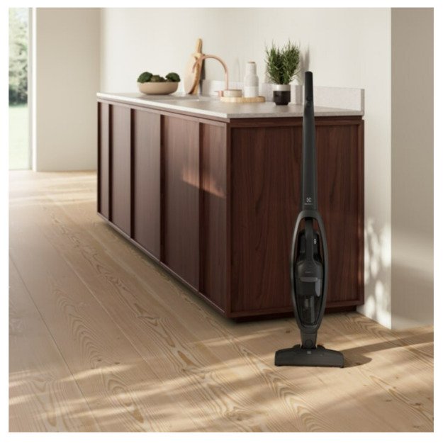 Dulkių siurblys ELECTROLUX ES31CB18GG 3