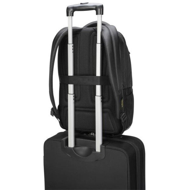 Targus | CityGear | Fits up to size 15-17.3   | Laptop Backpack | Black