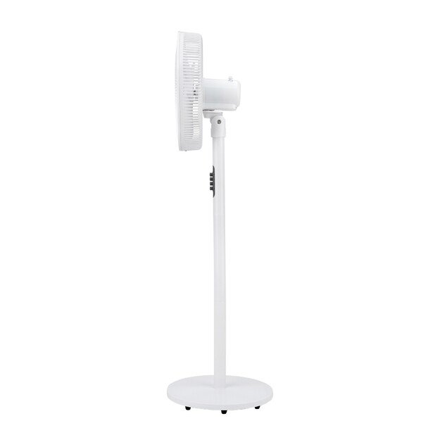Jata JVVP3061