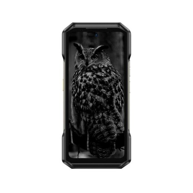 Smartphone Ulefone Armor 27 4G LTE 12GB/256GB (black) without charger