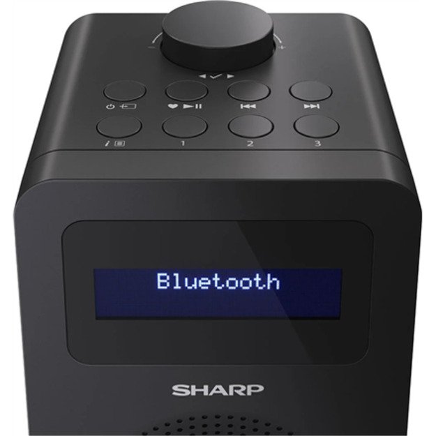 Sharp DR-430(BK) Digital Radio 3