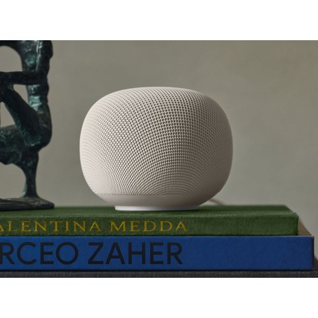 Google Home White