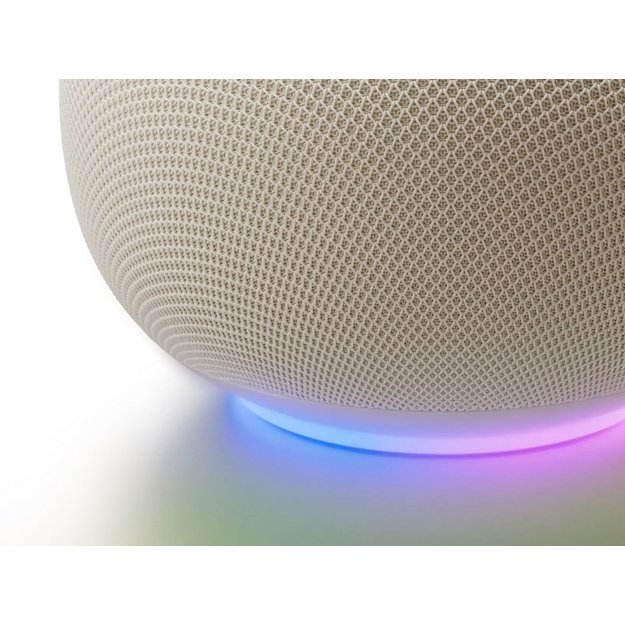 Google Home White
