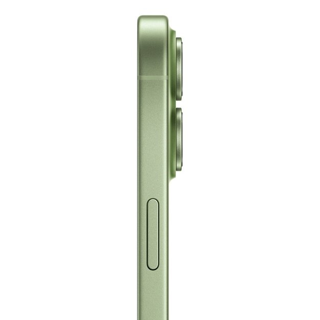 Apple iPhone 17 16 cm (6.3 ) Dual SIM iOS 26 5G USB Type-C 256 GB Sage