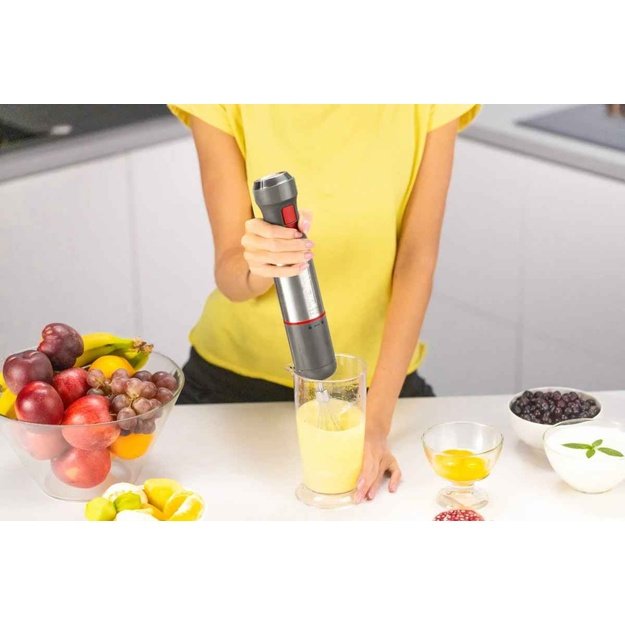 Zelmer ZHB4650 Vario Hand Blender