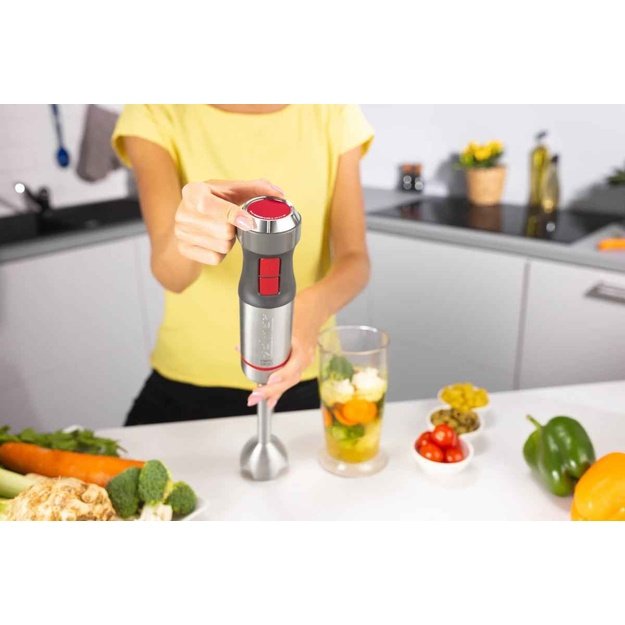 Zelmer ZHB4650 Vario Hand Blender