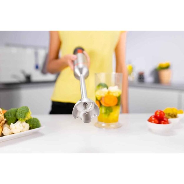 Zelmer ZHB4650 Vario Hand Blender