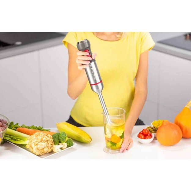 Zelmer ZHB4650 Vario Hand Blender