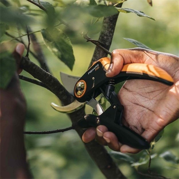 FISKARS SCISSOR SHEARS PLUS P721