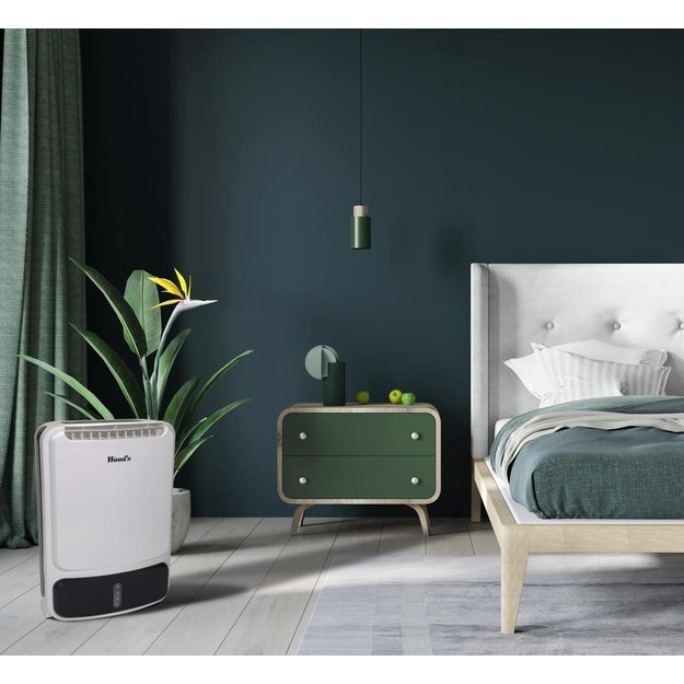 Oro sausintuvas WOODS WDD80 + drėgnomatis WHG-1
